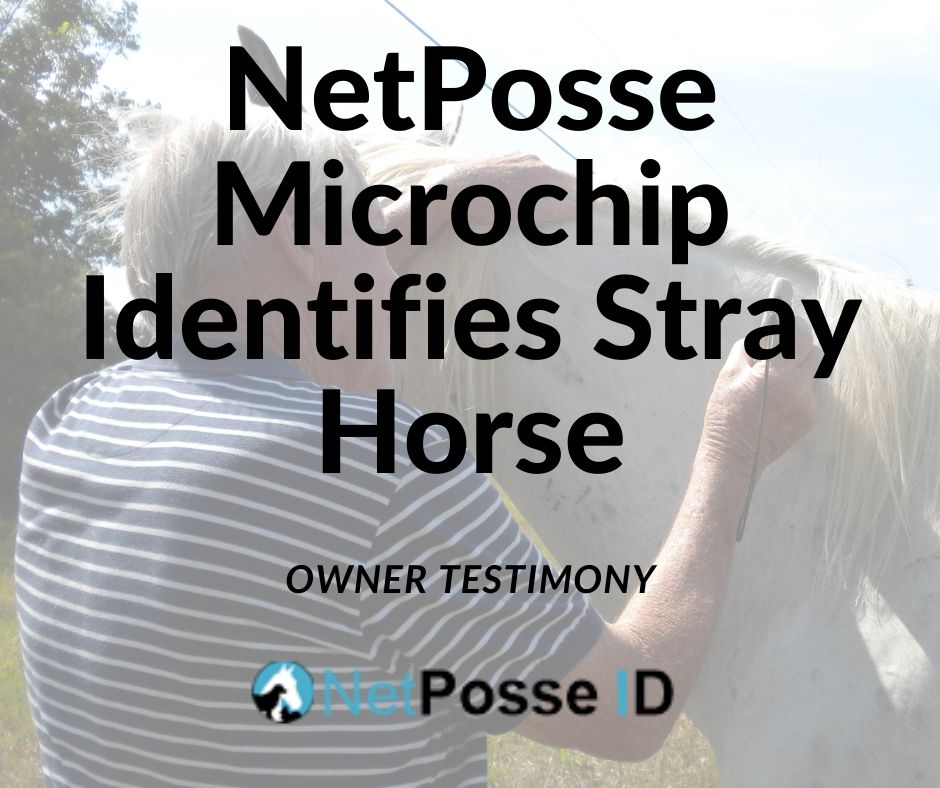 NetPosse Microchip Identifies Stray Horse