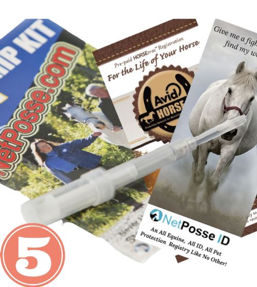 5 AVID 134.2 kHz Microchips and 5 Registrations Meet USEF Requirements