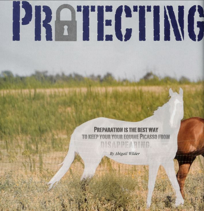 Keeping Your Paint Horse Safe (Paint Horse Journal)