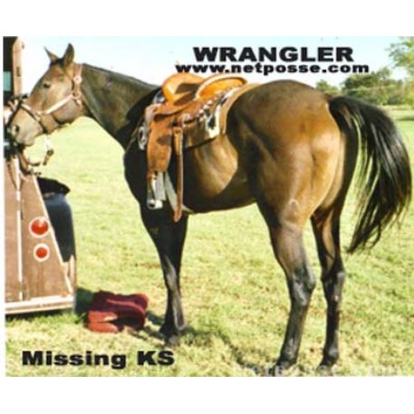MISSING Horse - First Class Wrangler