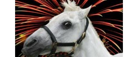 12 tips for safe horses during 4th of July fireworks