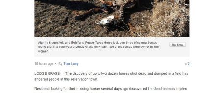 In Lodge Grass, Montana,  a field of dead horses angers neighbors  