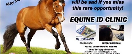 Rare NC Equine ID Clinic May 1-3, 2015