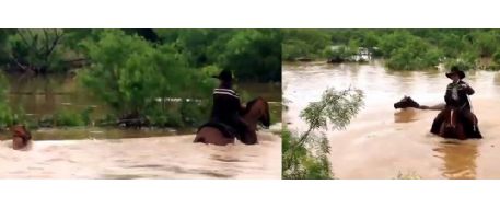 31 horses saved from flooding river by Texas cowboys on Mother's Day 2015