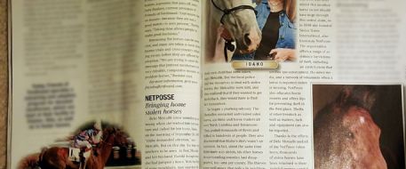 Longevity - Equus Magazine Features Stolen Horse International's Horse Idaho in February 2016 issue