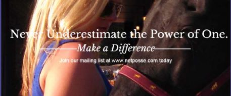 What Makes A NetPosse?