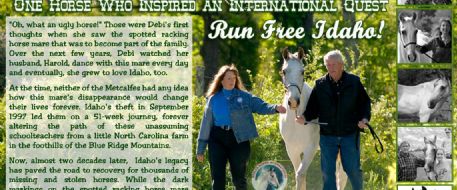 One Horse Who Inspired an International Quest