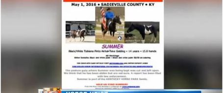Owner Seeks Horse Missing From Kentucky Farm