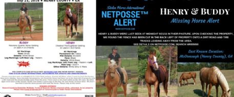 Horse Stolen from Georgia found in South Carolina Friday 9/23/16