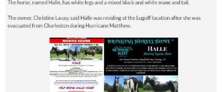 Horse stolen in Lugoff was evacuated for Hurricane Matthew