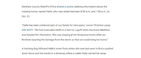 Horse stolen from temporary shelter in South Carolina found