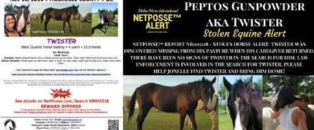 The NorthWest Horse Source published Press Release - STOLEN EQUINE Peptos Gunpowder aka “Twister”  Oklahoma