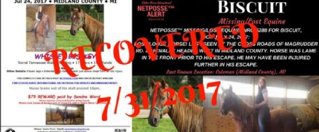 PRESS RELEASE - Missing/Lost Equine - Biscuit, Michigan