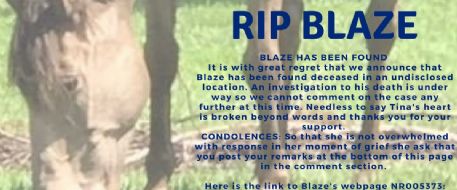 Missing horse found dead
