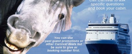 Press Release - Horse Lovers Cruise For Friends and Family 
