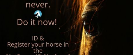 NetPosse ID Registration for Horses and Pets
