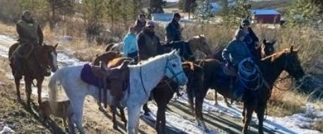 Silvers, a Chelan Horse Missing in the Mountains for 10 Days is Home!