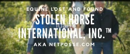 About Stolen Horse International, aka NetPosse.com