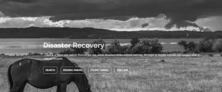 Free Disaster Directory for Lost and Found Animals