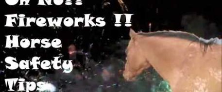 Oh No! Fireworks!!! Horse Safety Tips
