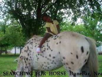 SEARCHING FOR HORSE Donebar, Near Ramona, OK, 74061