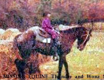 MISSING EQUINE Thunder and Wonz S, Near  Zwolle, LA, 71486