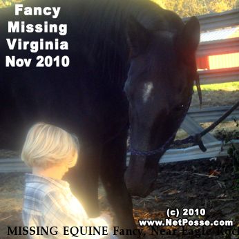 MISSING EQUINE Fancy, Near Eagle Rock, VA, 24085