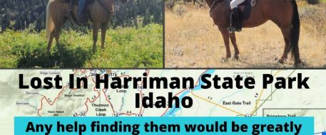 Horses Lost In Harriman State Park Idaho