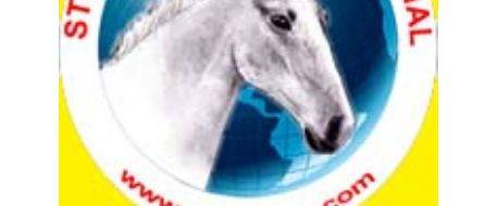 NetPosse Organization Is Vital For Missing Or Stolen Horses