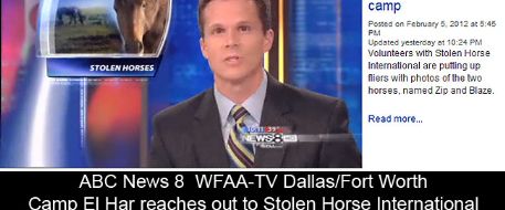 Dallas ABC 8: Two horses stolen from Dallas church camp