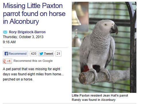 parrotfoundonhorse.JPG