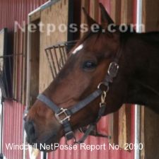 josStolenVAOct2013face.jpg