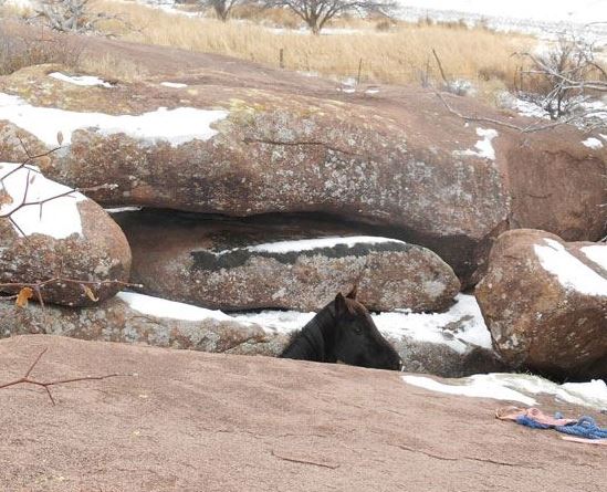 ChocChipStuckinRocks2.JPG