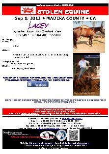 laceysflyer.JPG