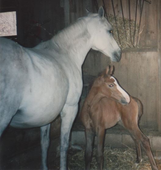 taraSearchingwithbaby.JPG