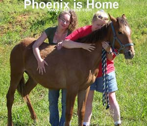 phoenixbrandysarah-welcomehome_cap.jpg