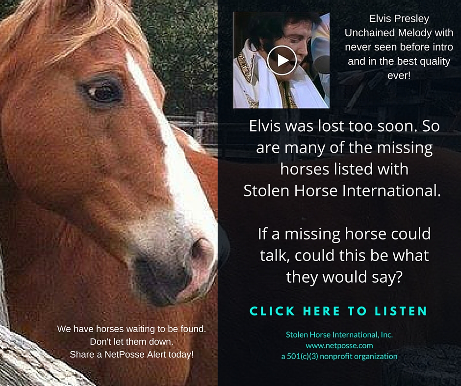 ElvisMissingHorses.jpg