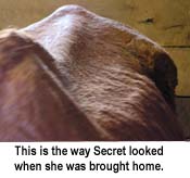 back_hip_captioned.jpg