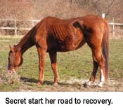 secret_after.jpg