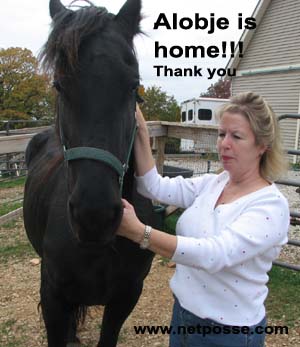 alobjehome.jpg alobjehome.jpg