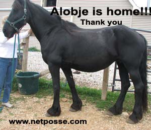 alobjeishome3.jpg alobjeishome3.jpg