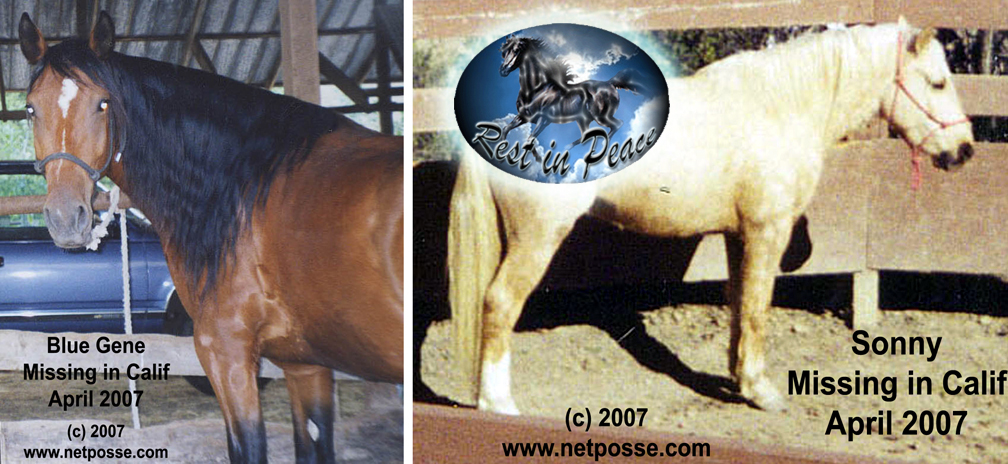 MustangsCAapr07.jpg MustangsCAapr07.jpg