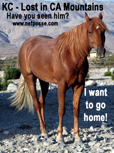 kcstanding400.jpg kcstanding400.jpg