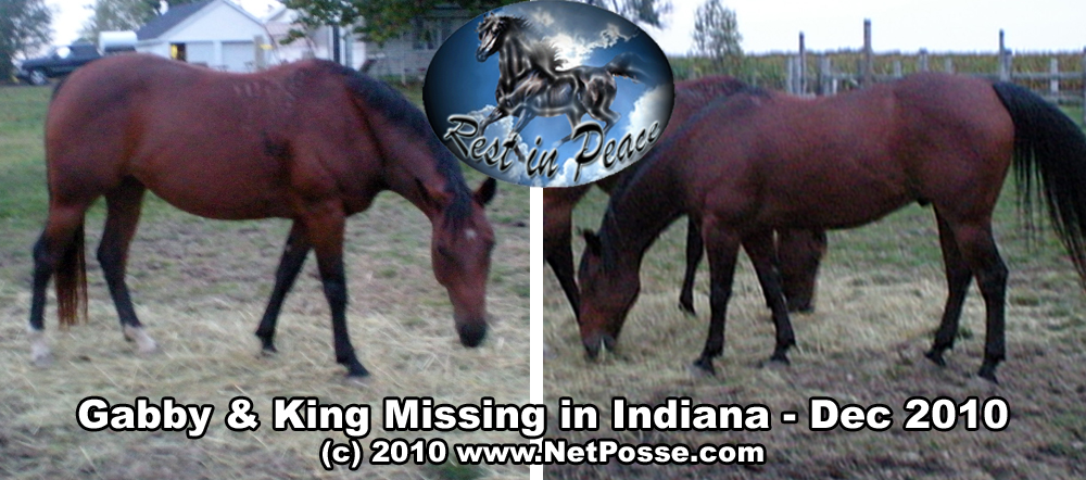 GabbyKingINmissingDec2010.jpg GabbyKingINmissingDec2010.jpg