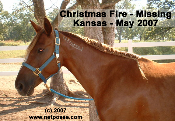ChristmasFireKSmay07b.jpg