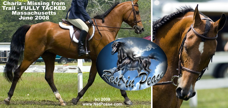 CharlzMAjun08_RIP.jpg CharlzMAjun08_RIP.jpg