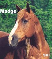 madge-face_front.jpg madge-face_front.jpg