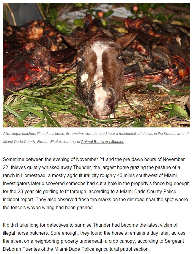 articleButheringFLDec2015.JPG