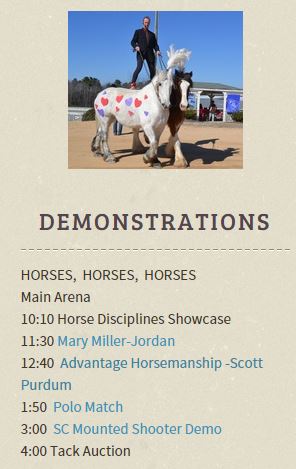 scExpo2016demostrations.JPG