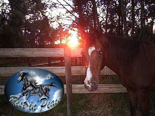 Heston_RIP.jpg Heston_RIP.jpg